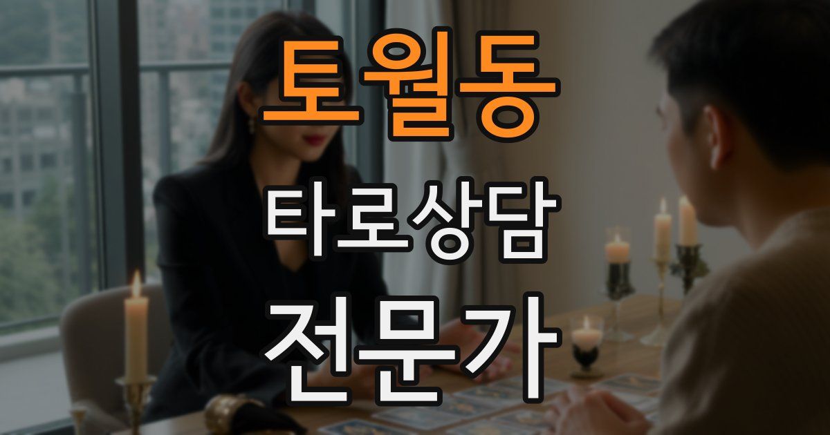토월동 타로상담전문가 자격증