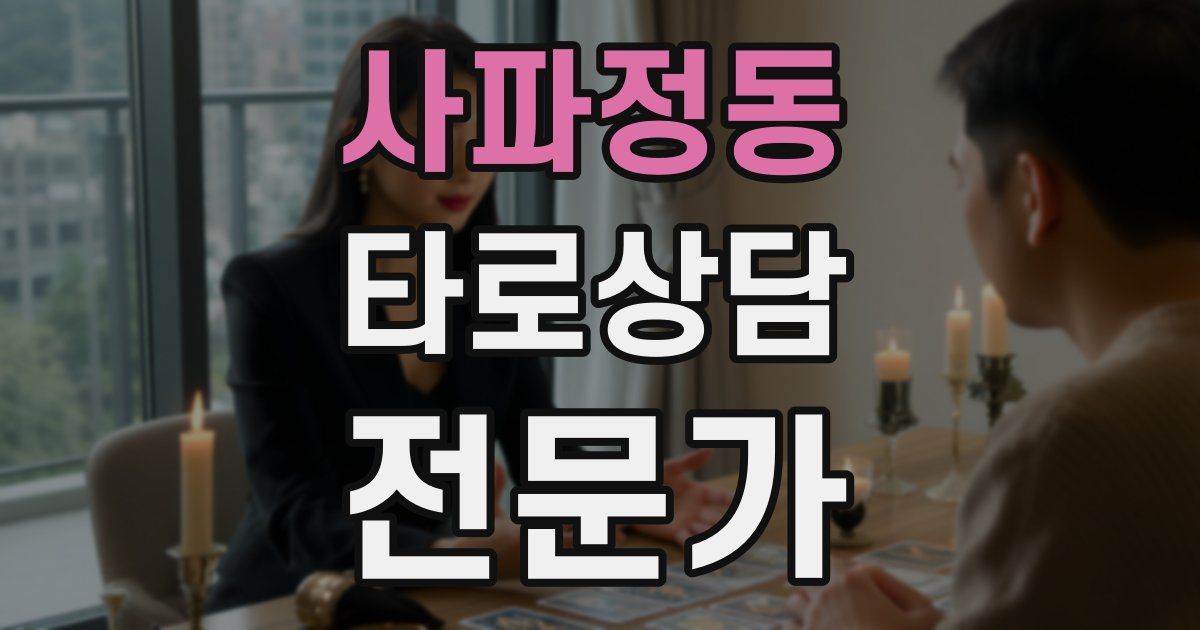 사파정동 타로상담전문가 자격증