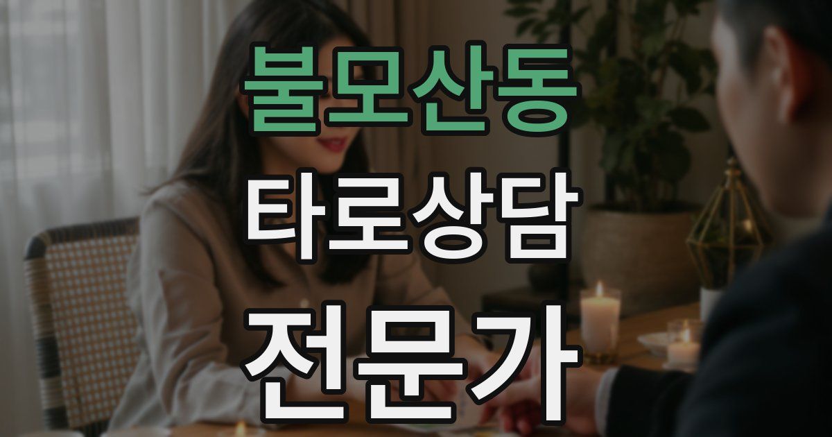 불모산동 타로상담전문가 자격증