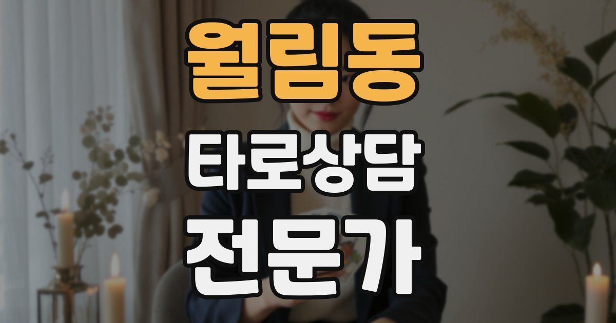 월림동 타로상담전문가 자격증