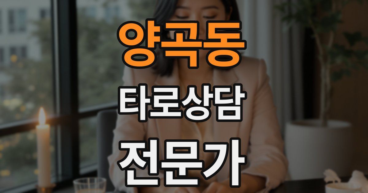 양곡동 타로상담전문가 자격증