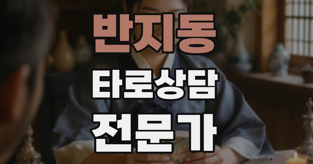 반지동 타로상담전문가 자격증