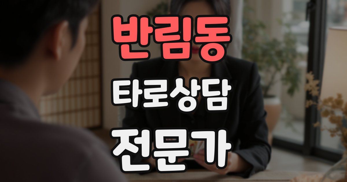 반림동 타로상담전문가 자격증