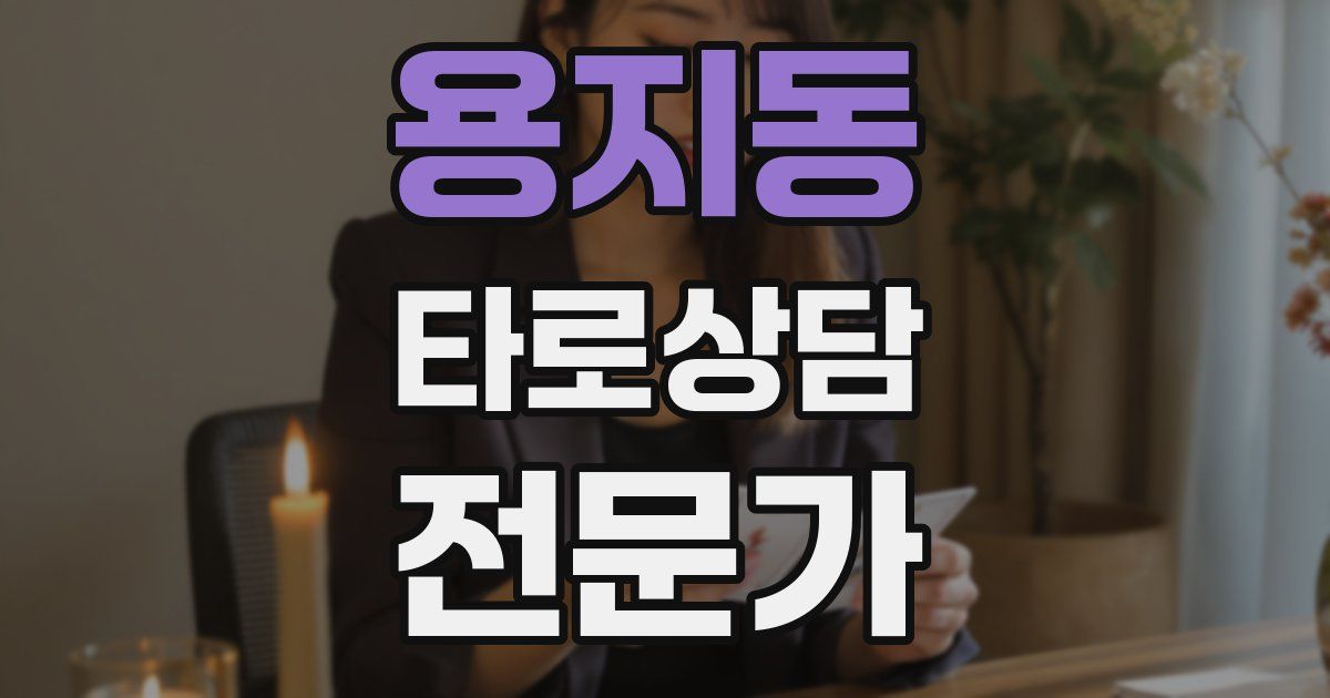 용지동 타로상담전문가 자격증