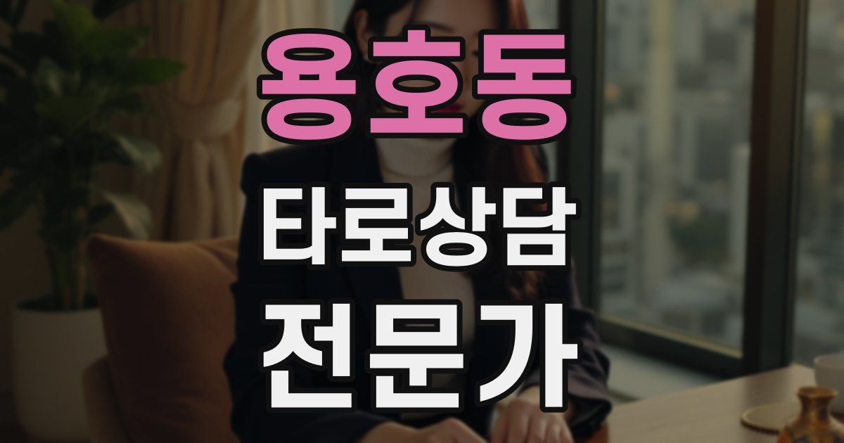 용호동 타로상담전문가 자격증