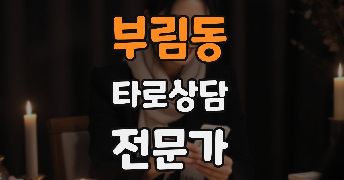 부림동 타로상담전문가 자격증