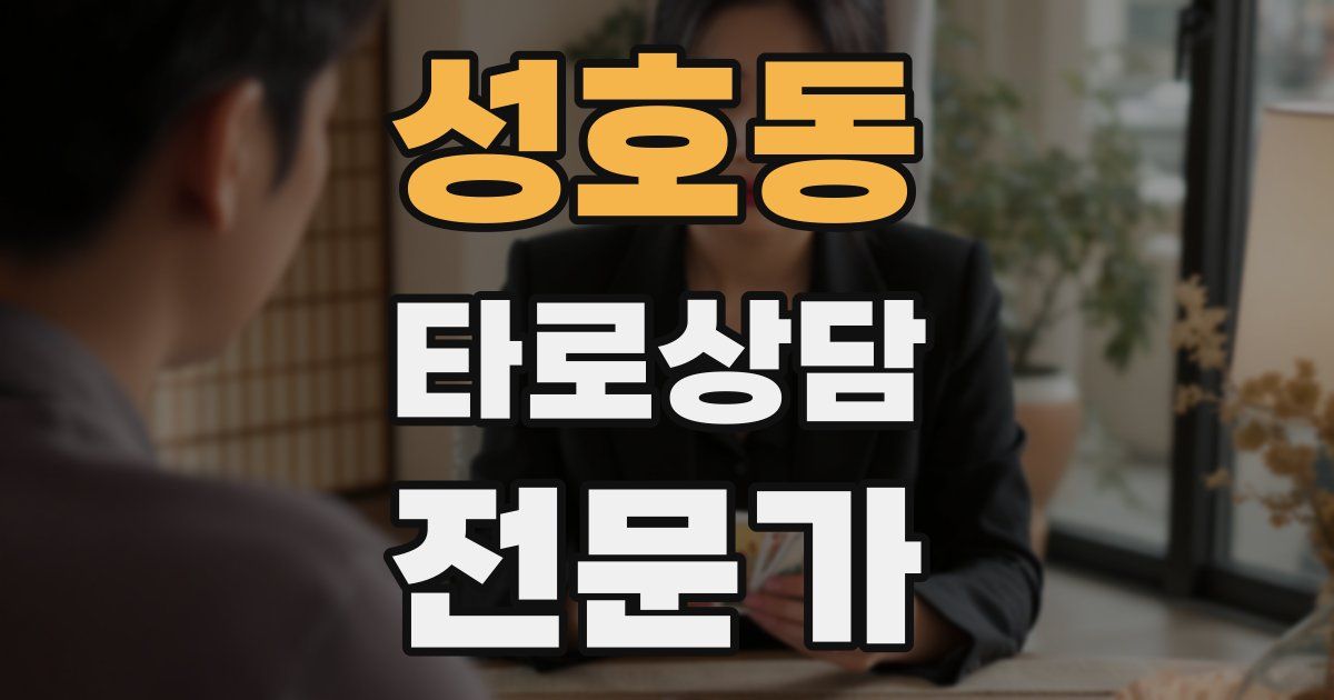 성호동 타로상담전문가 자격증