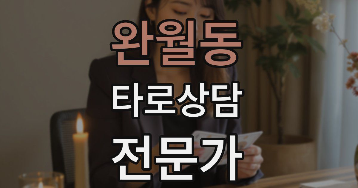 완월동 타로상담전문가 자격증