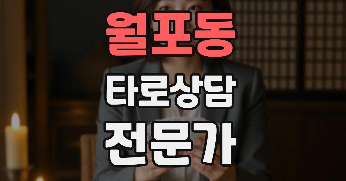 월포동 타로상담전문가 자격증