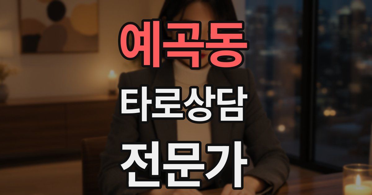 예곡동 타로상담전문가 자격증