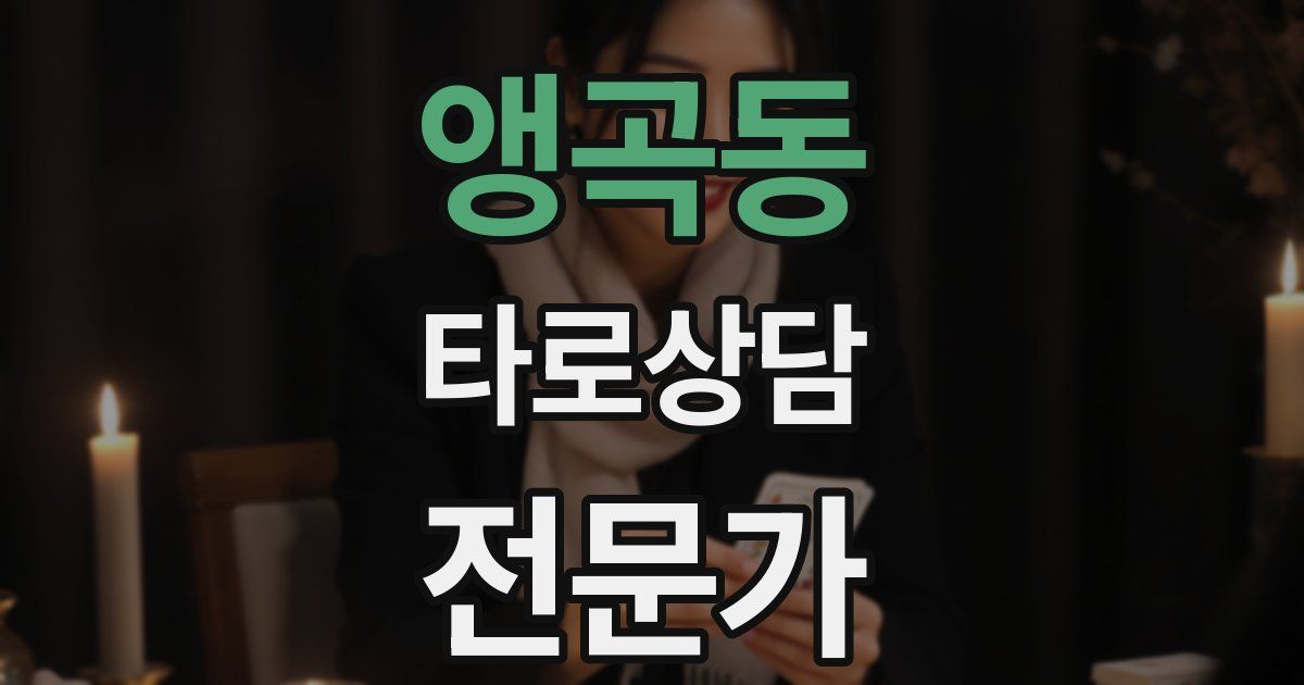 앵곡동 타로상담전문가 자격증