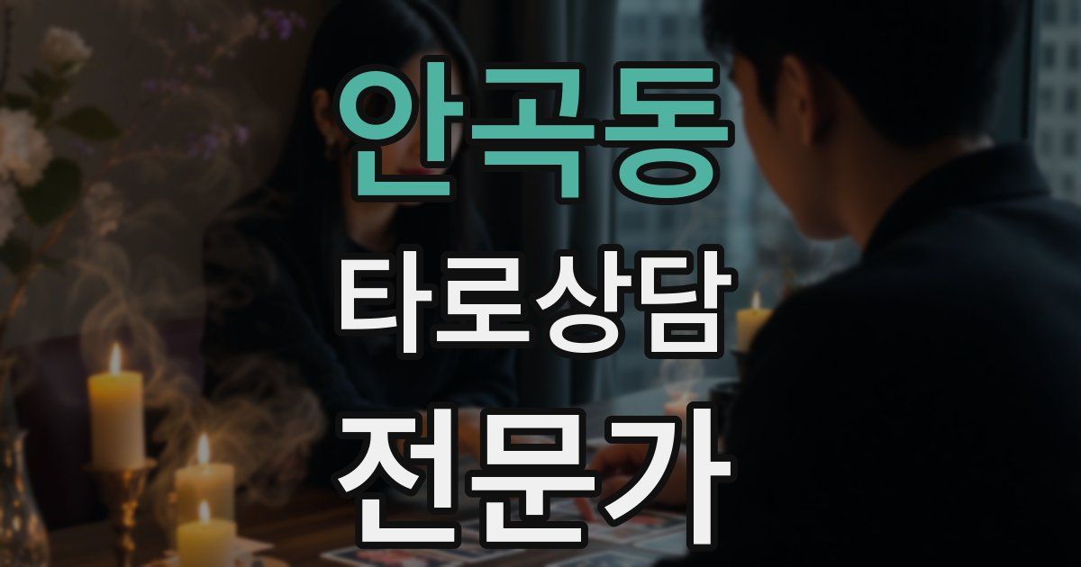 안곡동 타로상담전문가 자격증