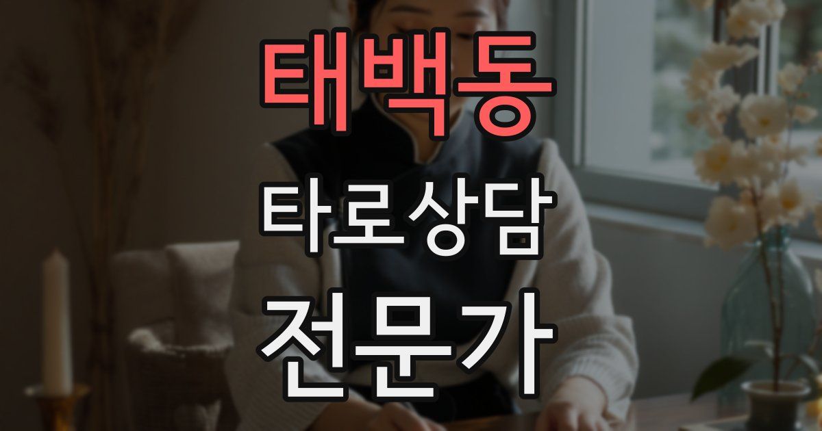 태백동 타로상담전문가 자격증