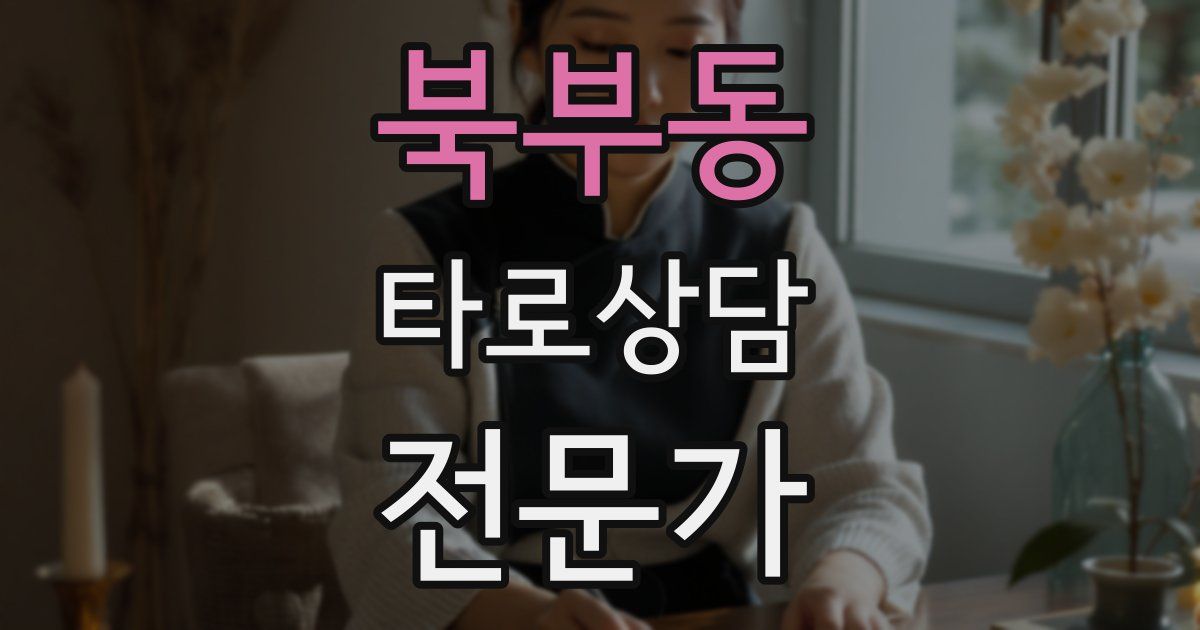 북부동 타로상담전문가 자격증