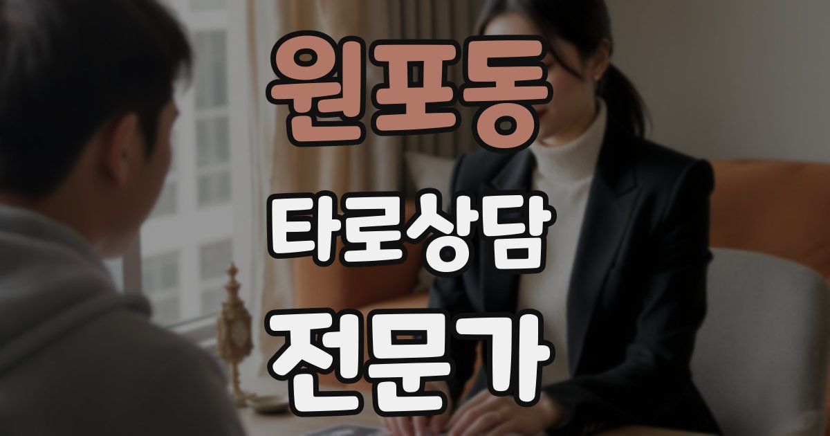 원포동 타로상담전문가 자격증