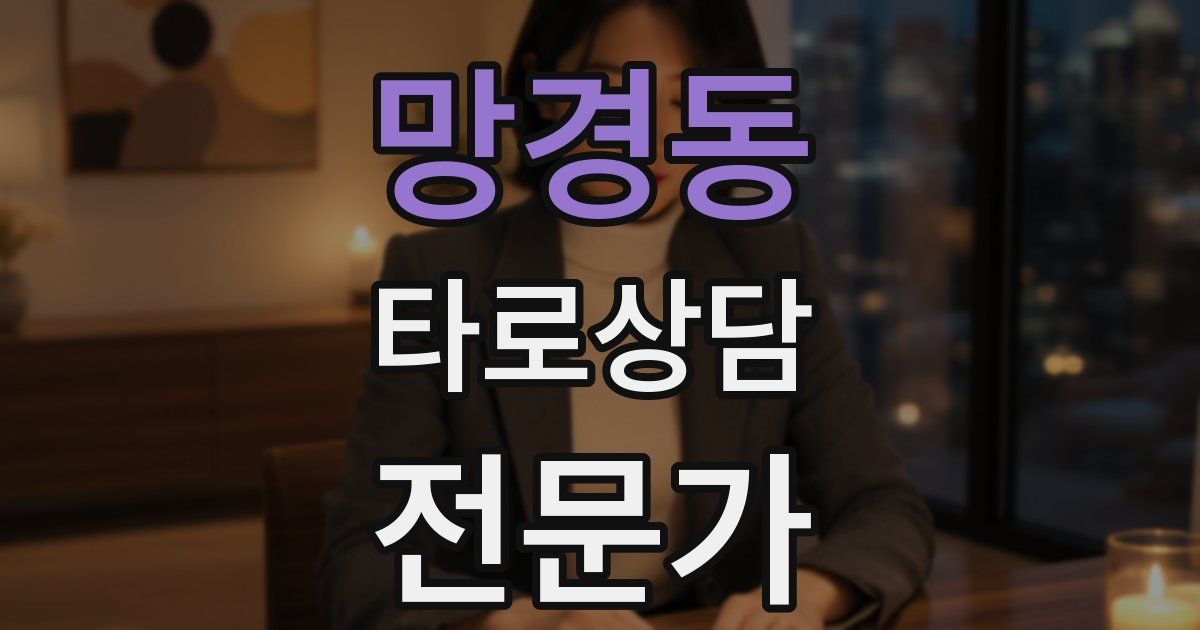 망경동 타로상담전문가 자격증