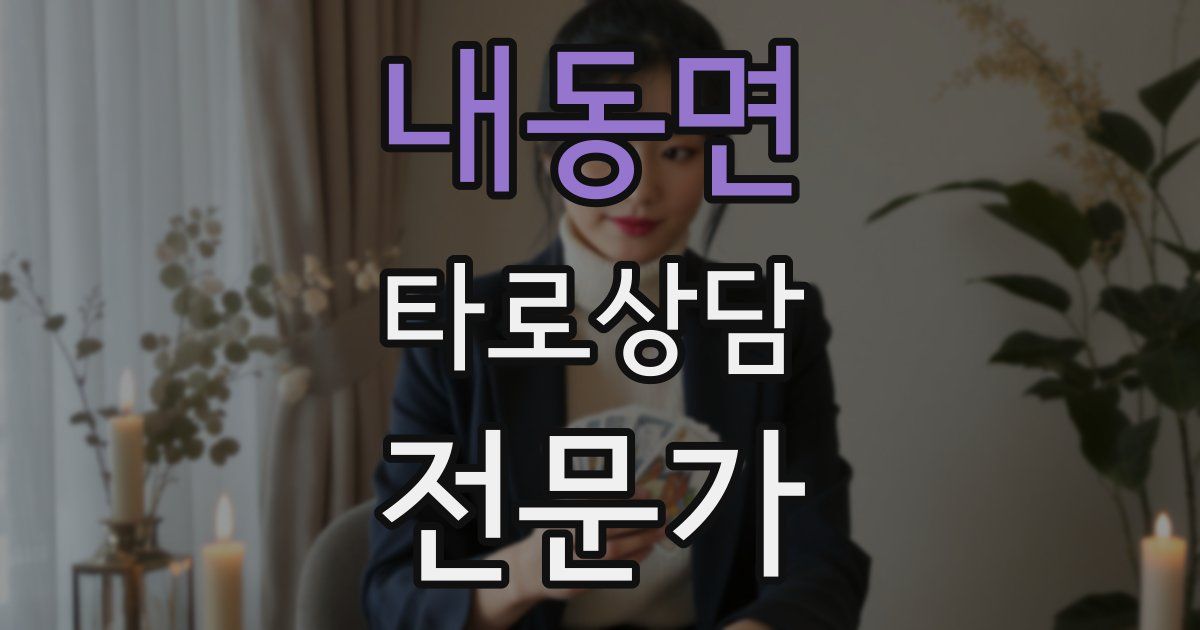 내동면 타로상담전문가 자격증