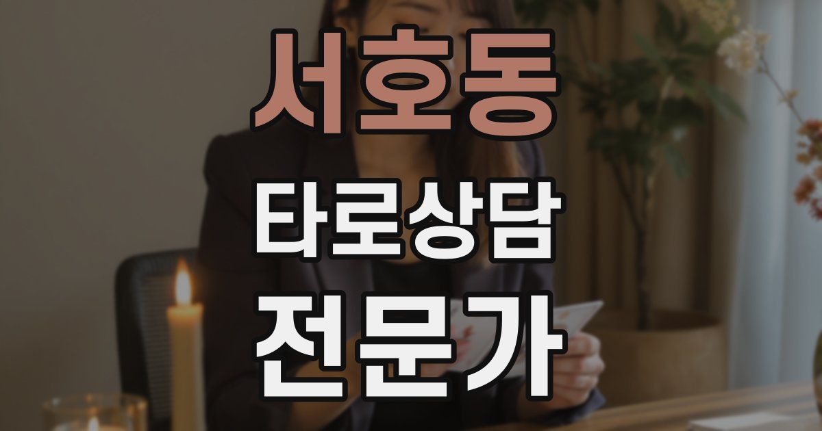 서호동 타로상담전문가 자격증