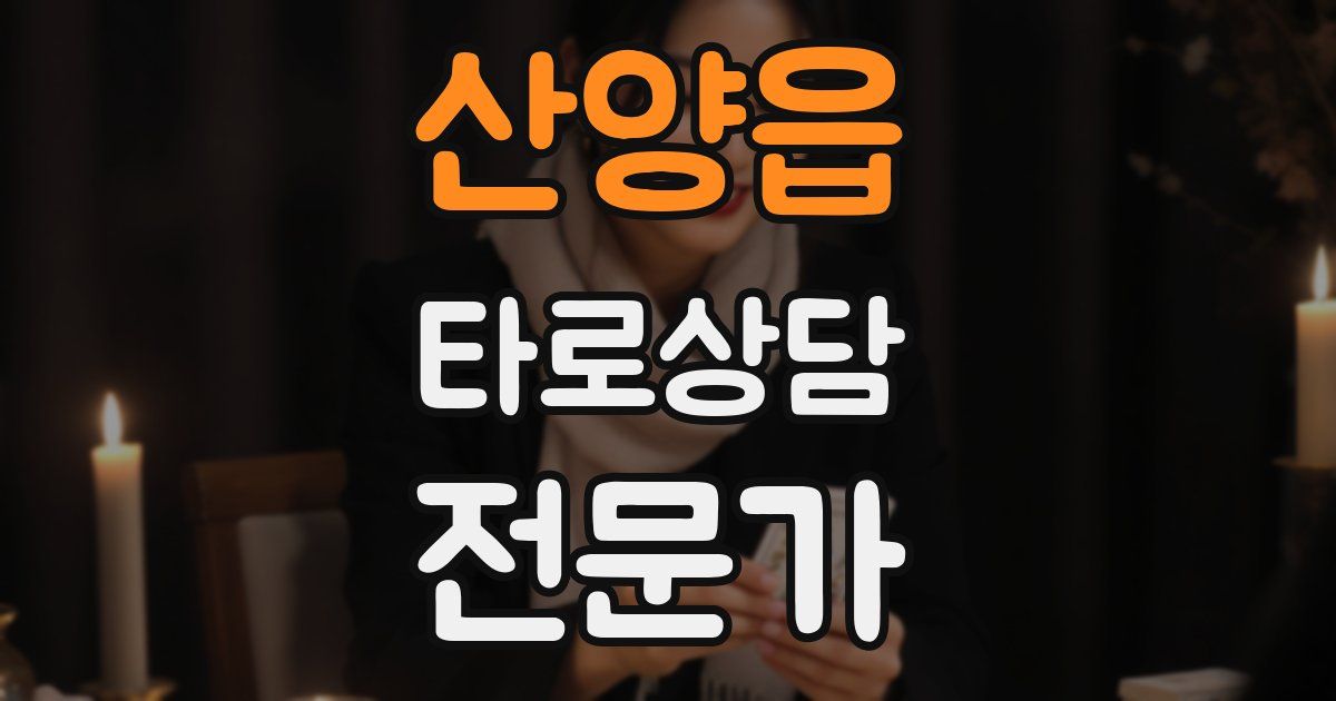 산양읍 타로상담전문가 자격증
