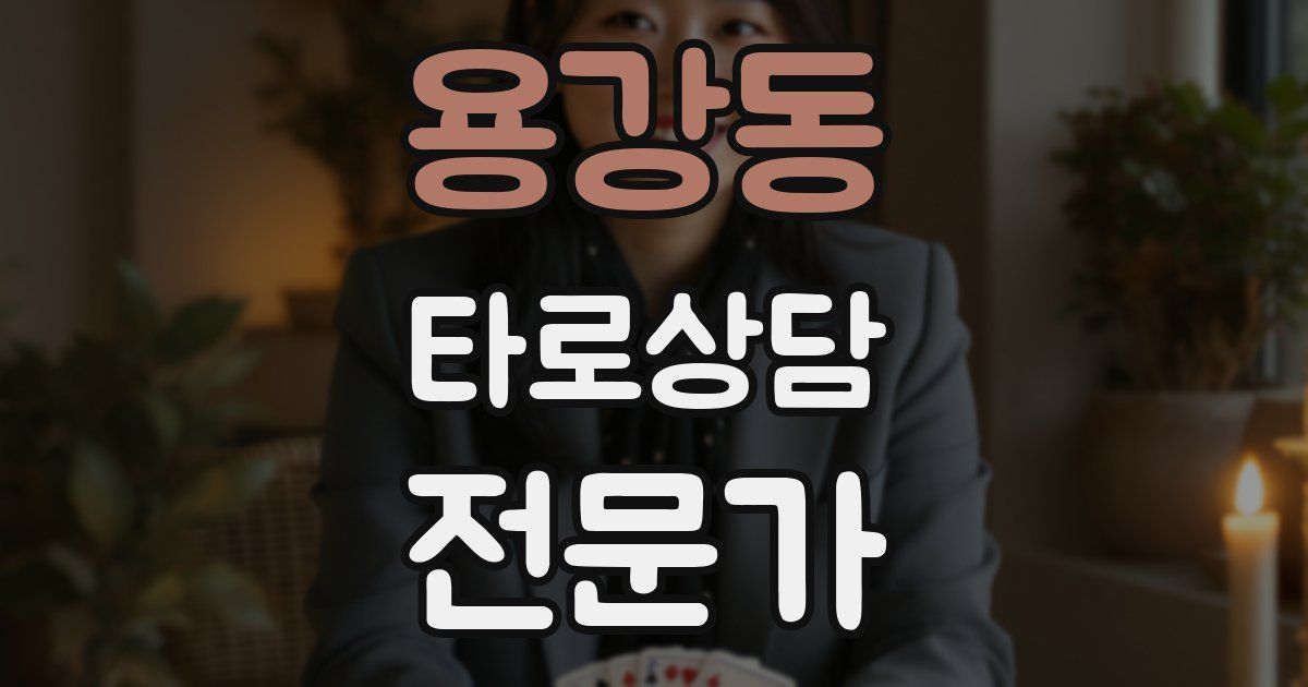 용강동 타로상담전문가 자격증