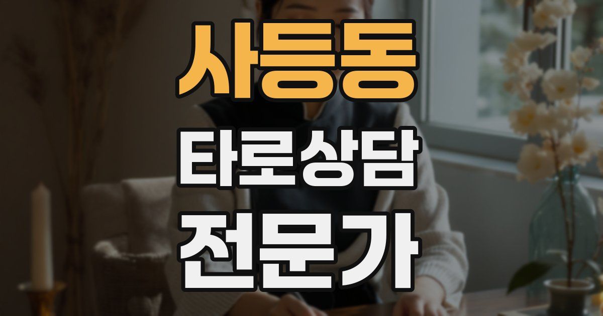 사등동 타로상담전문가 자격증