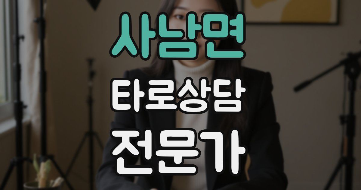 사남면 타로상담전문가 자격증