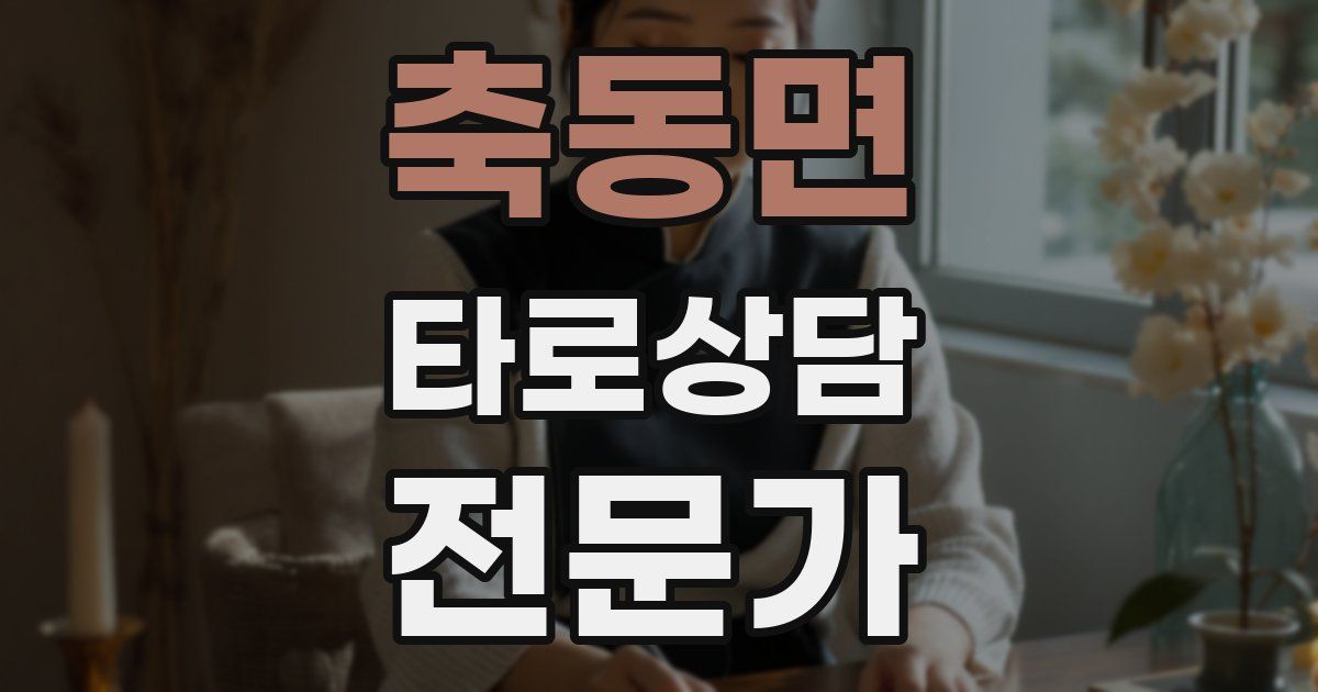 축동면 타로상담전문가 자격증