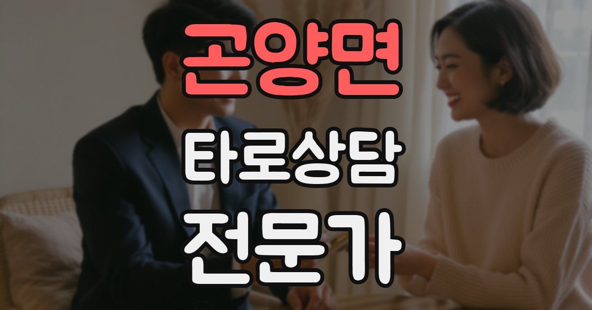 곤양면 타로상담전문가 자격증