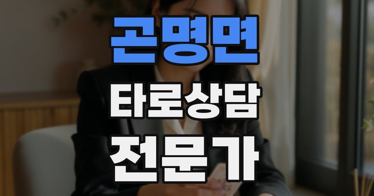 곤명면 타로상담전문가 자격증