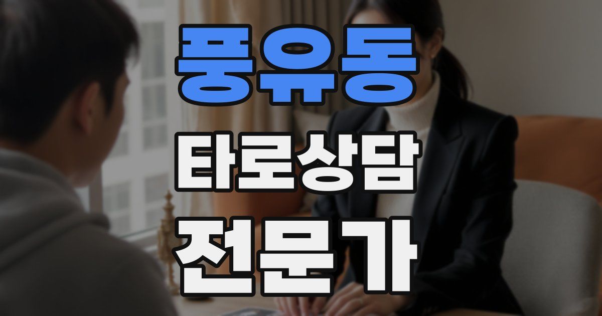 풍유동 타로상담전문가 자격증