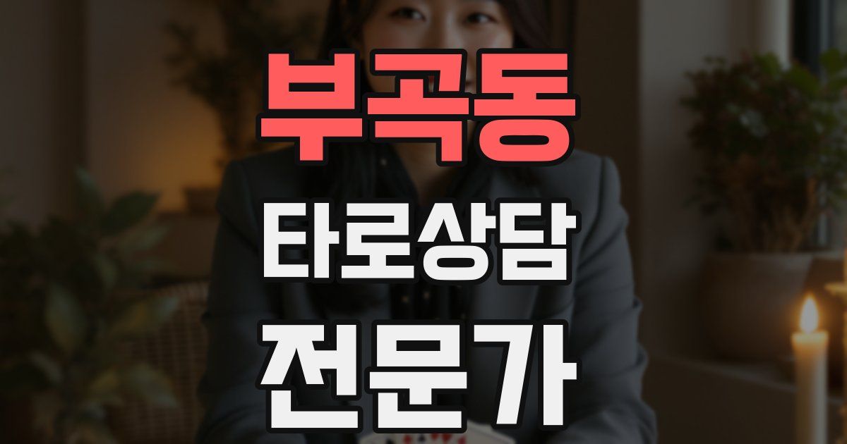 부곡동 타로상담전문가 자격증