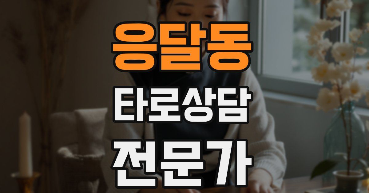 응달동 타로상담전문가 자격증