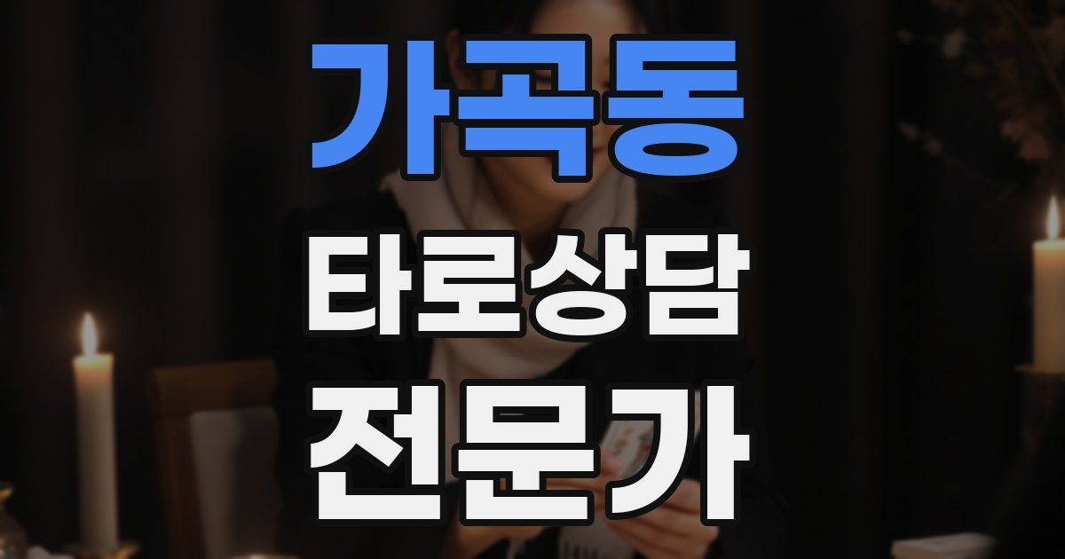 가곡동 타로상담전문가 자격증