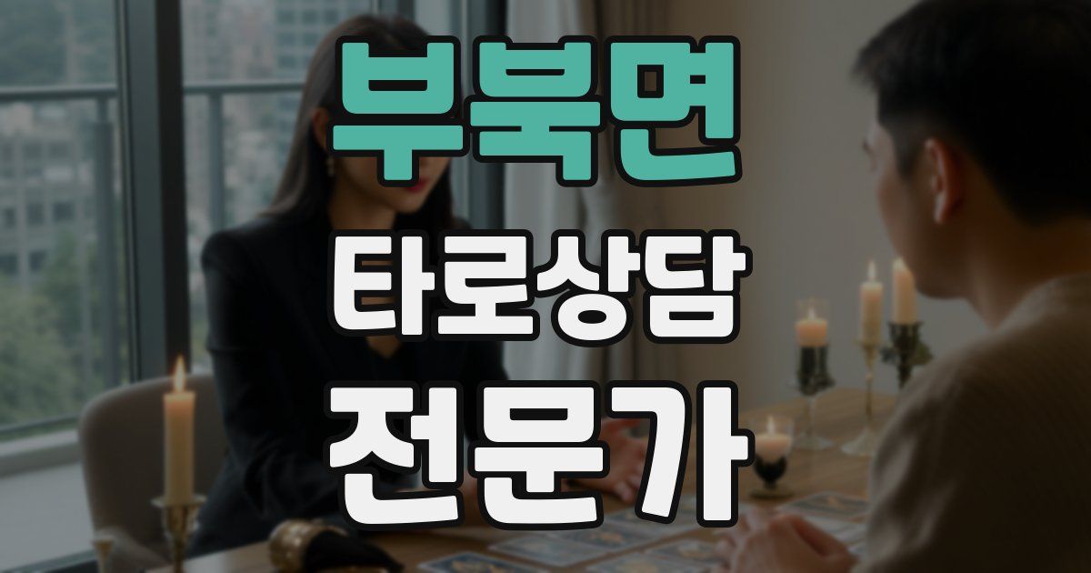 부북면 타로상담전문가 자격증