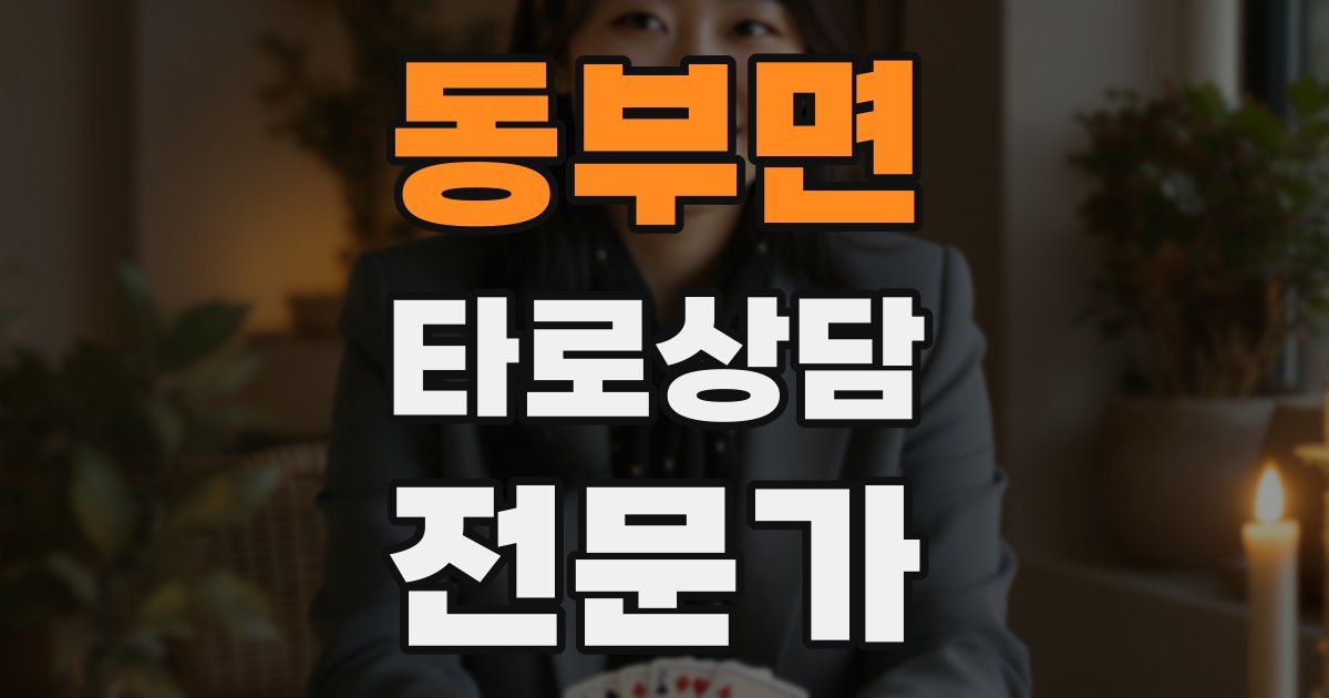 동부면 타로상담전문가 자격증