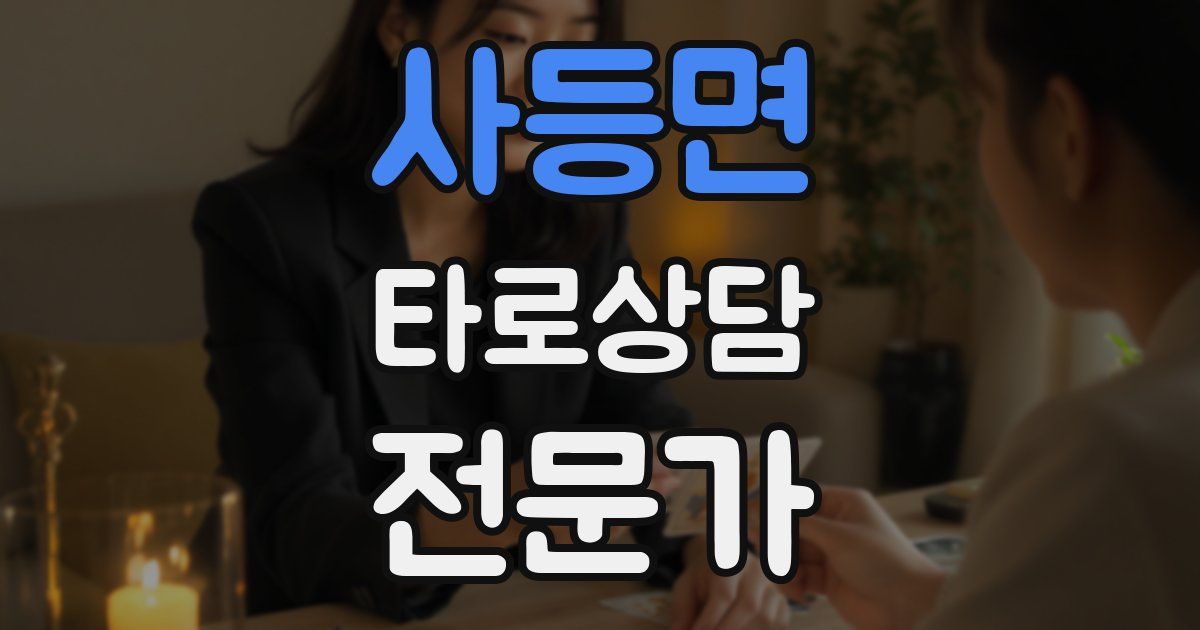 사등면 타로상담전문가 자격증