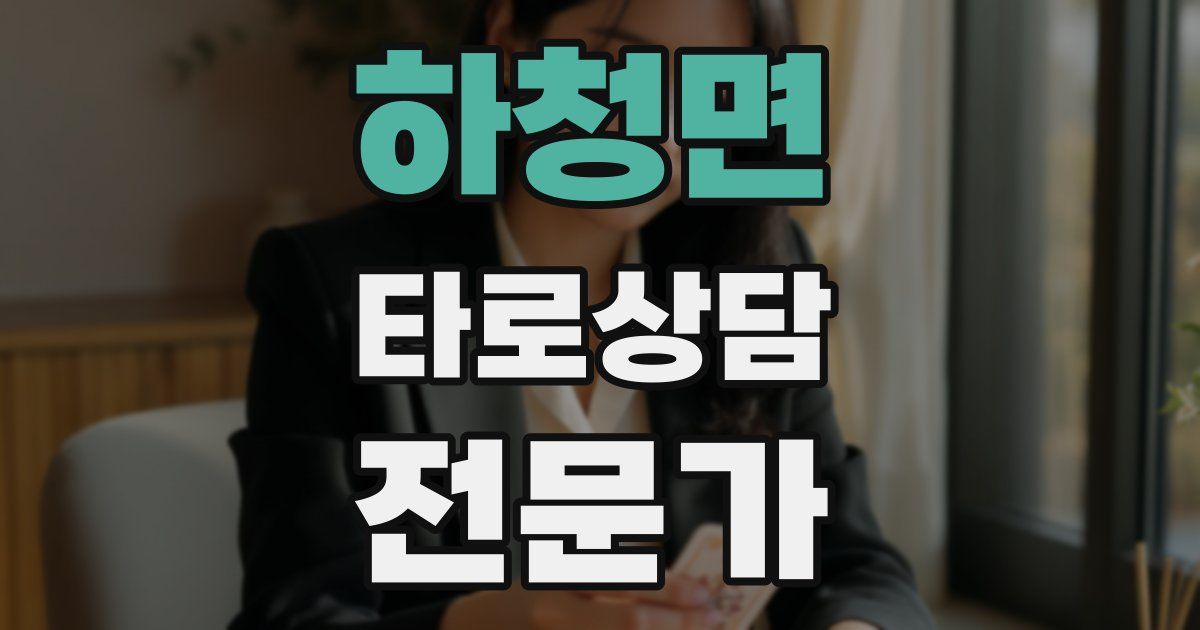 하청면 타로상담전문가 자격증