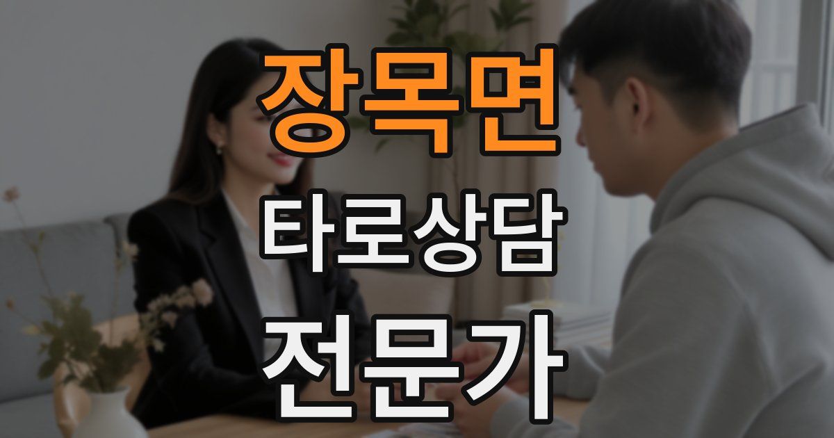 장목면 타로상담전문가 자격증
