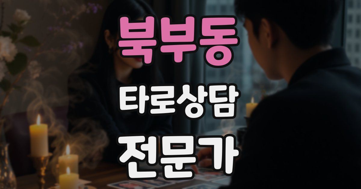 북부동 타로상담전문가 자격증