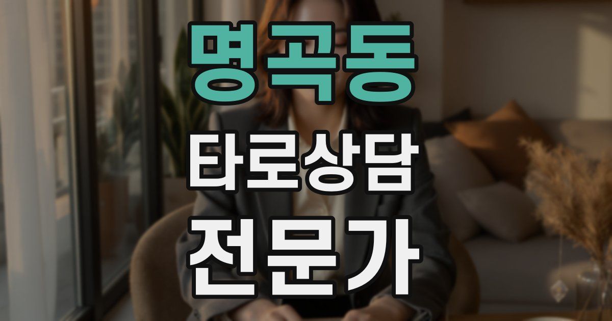 명곡동 타로상담전문가 자격증