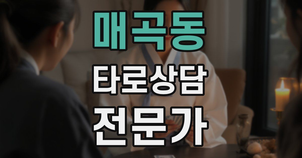 매곡동 타로상담전문가 자격증
