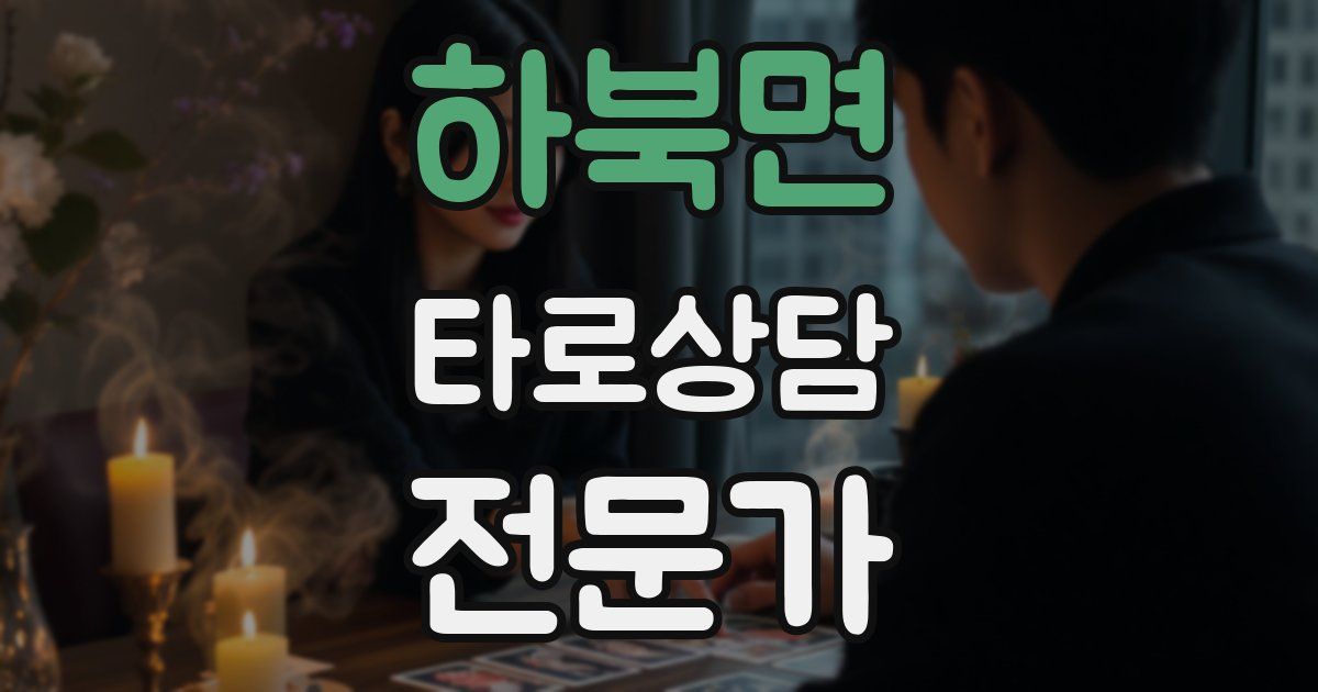 하북면 타로상담전문가 자격증