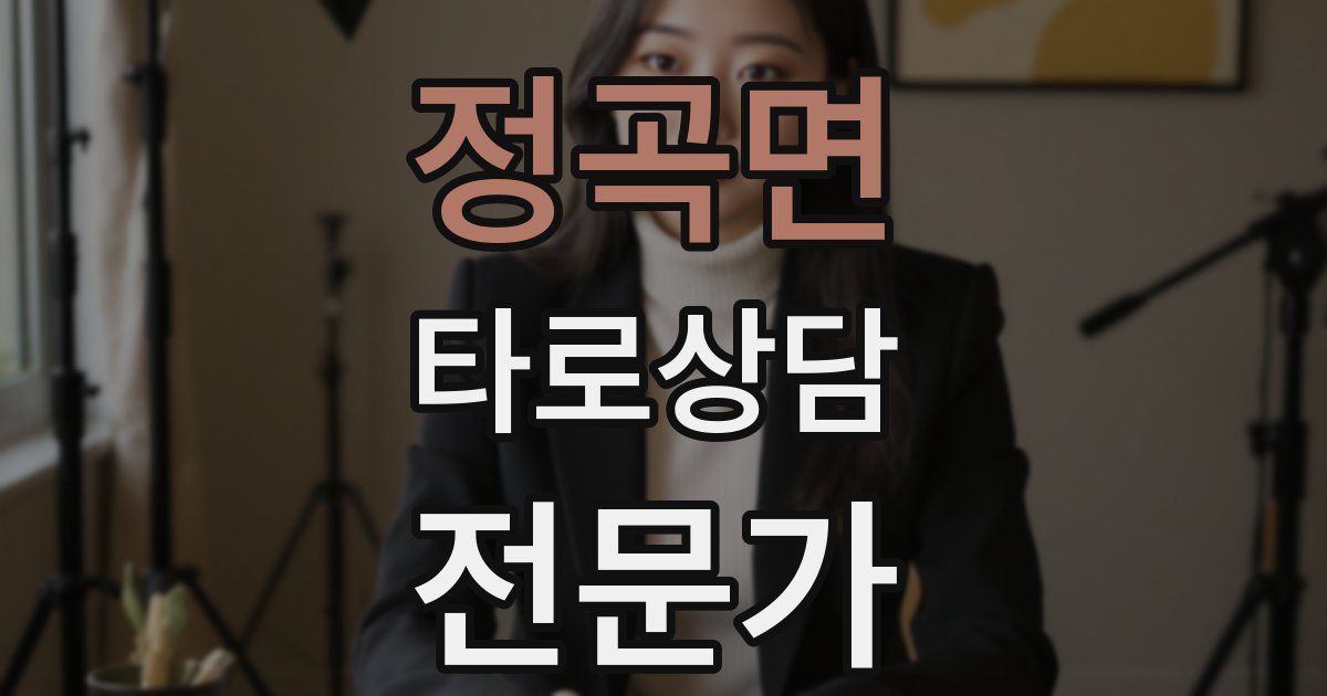 정곡면 타로상담전문가 자격증