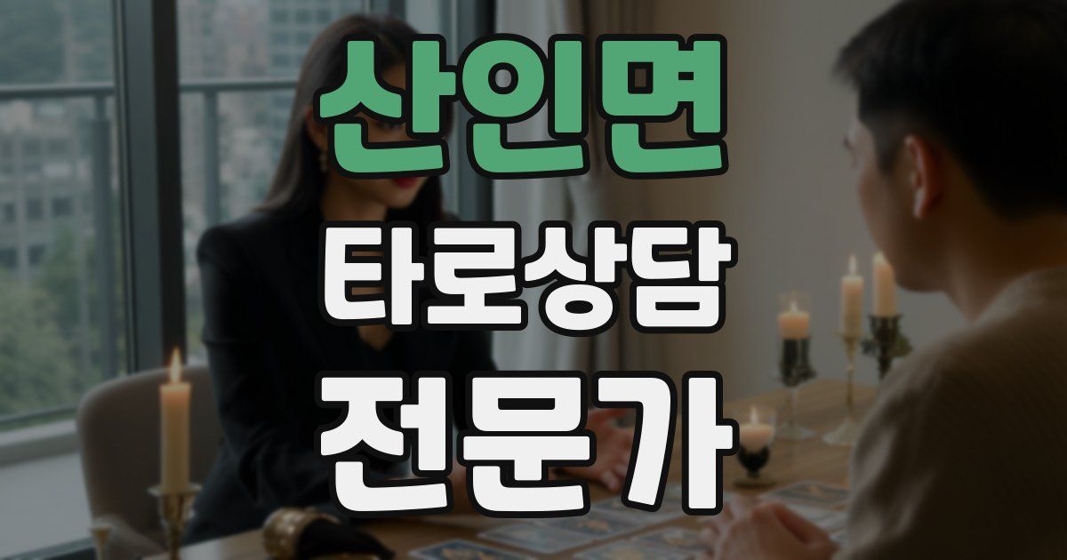 산인면 타로상담전문가 자격증
