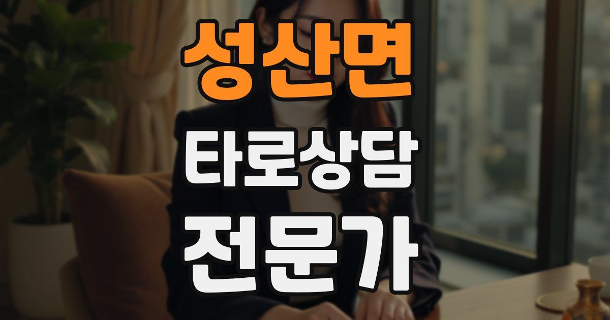 성산면 타로상담전문가 자격증