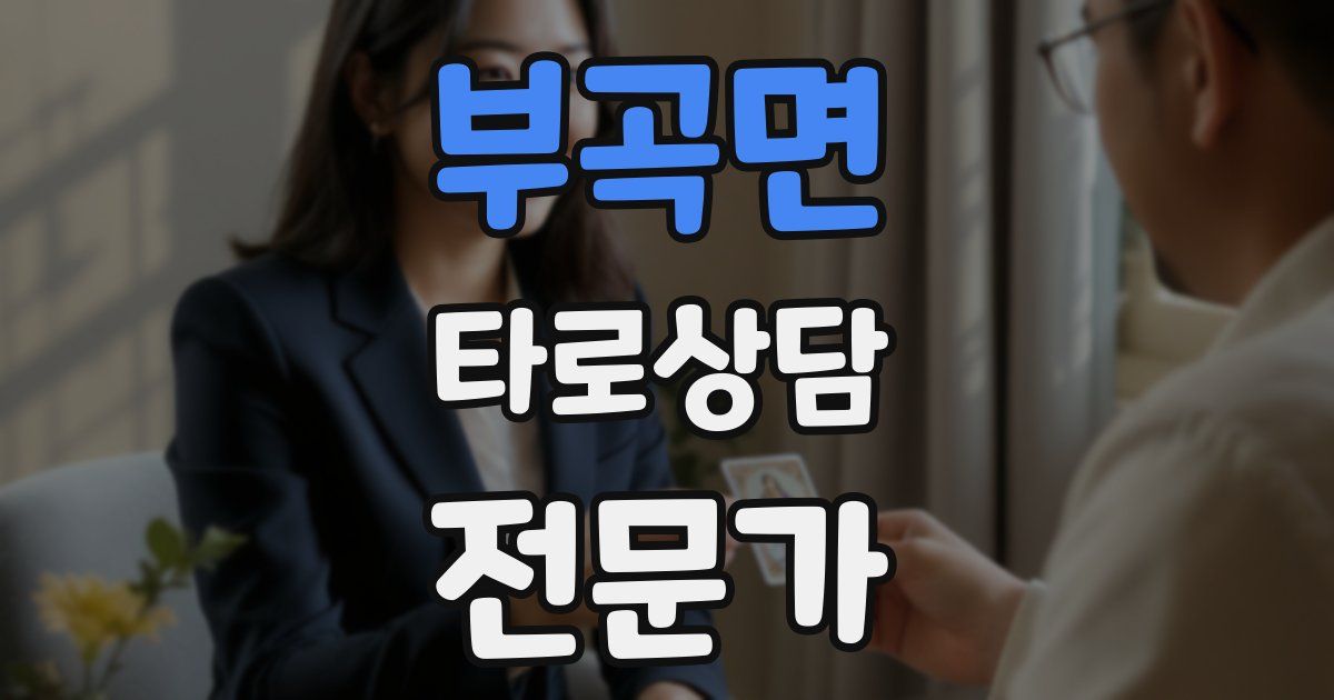 부곡면 타로상담전문가 자격증