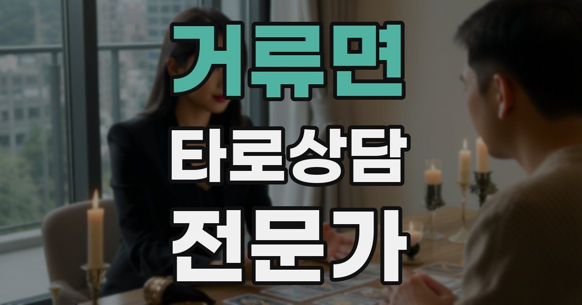 거류면 타로상담전문가 자격증