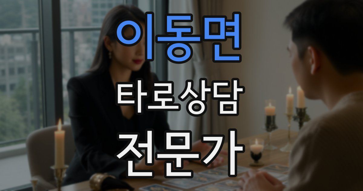 이동면 타로상담전문가 자격증