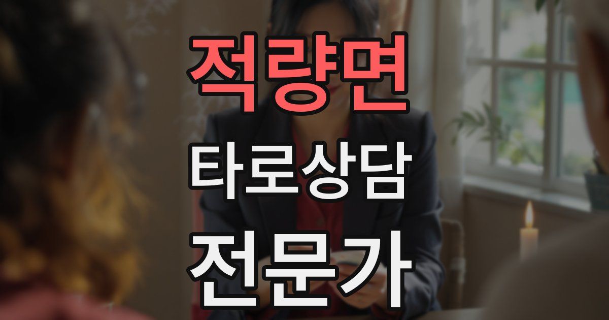 적량면 타로상담전문가 자격증