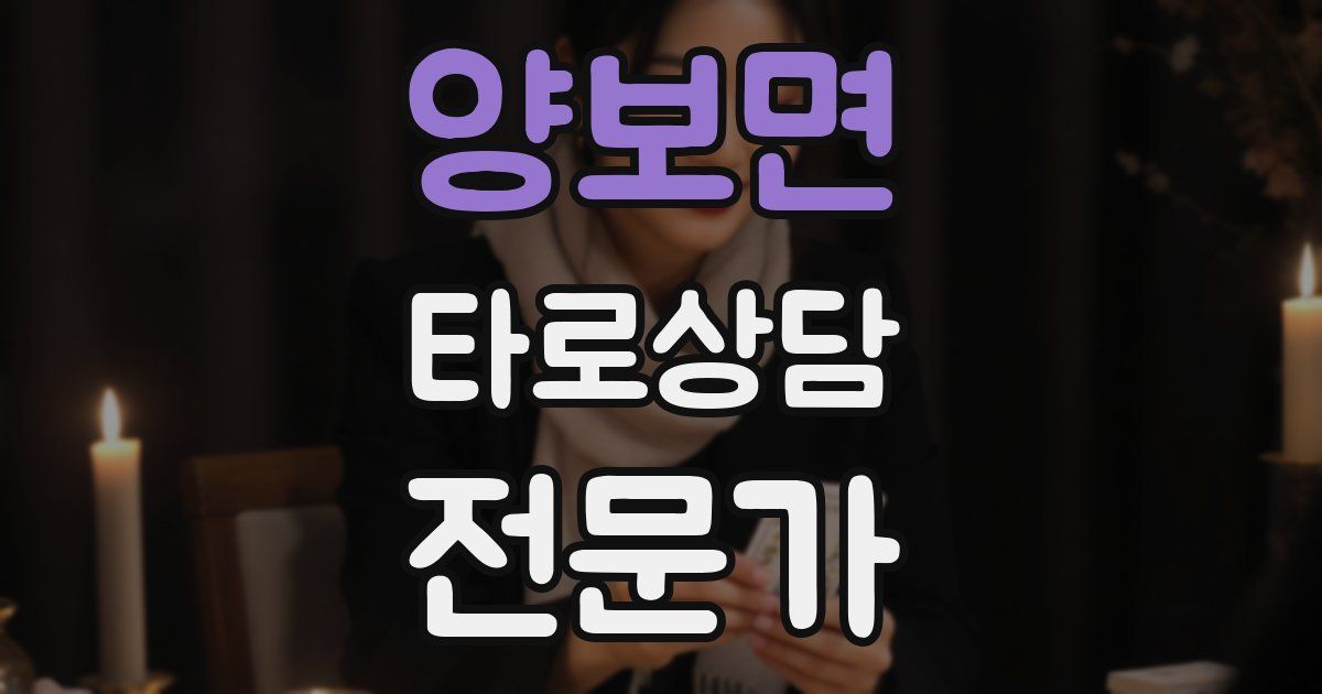 양보면 타로상담전문가 자격증